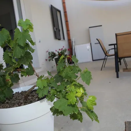 Prázdninový dům La Vite Locogrande