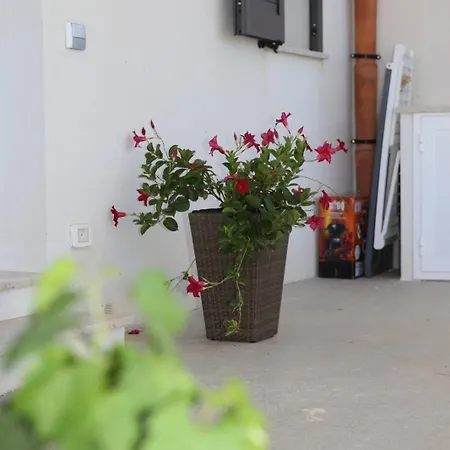 Holiday home La Vite